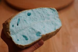 A hand holding a blue cloud bread torn in half.