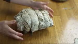 Chicken wrapped in lotus leaves with twine.