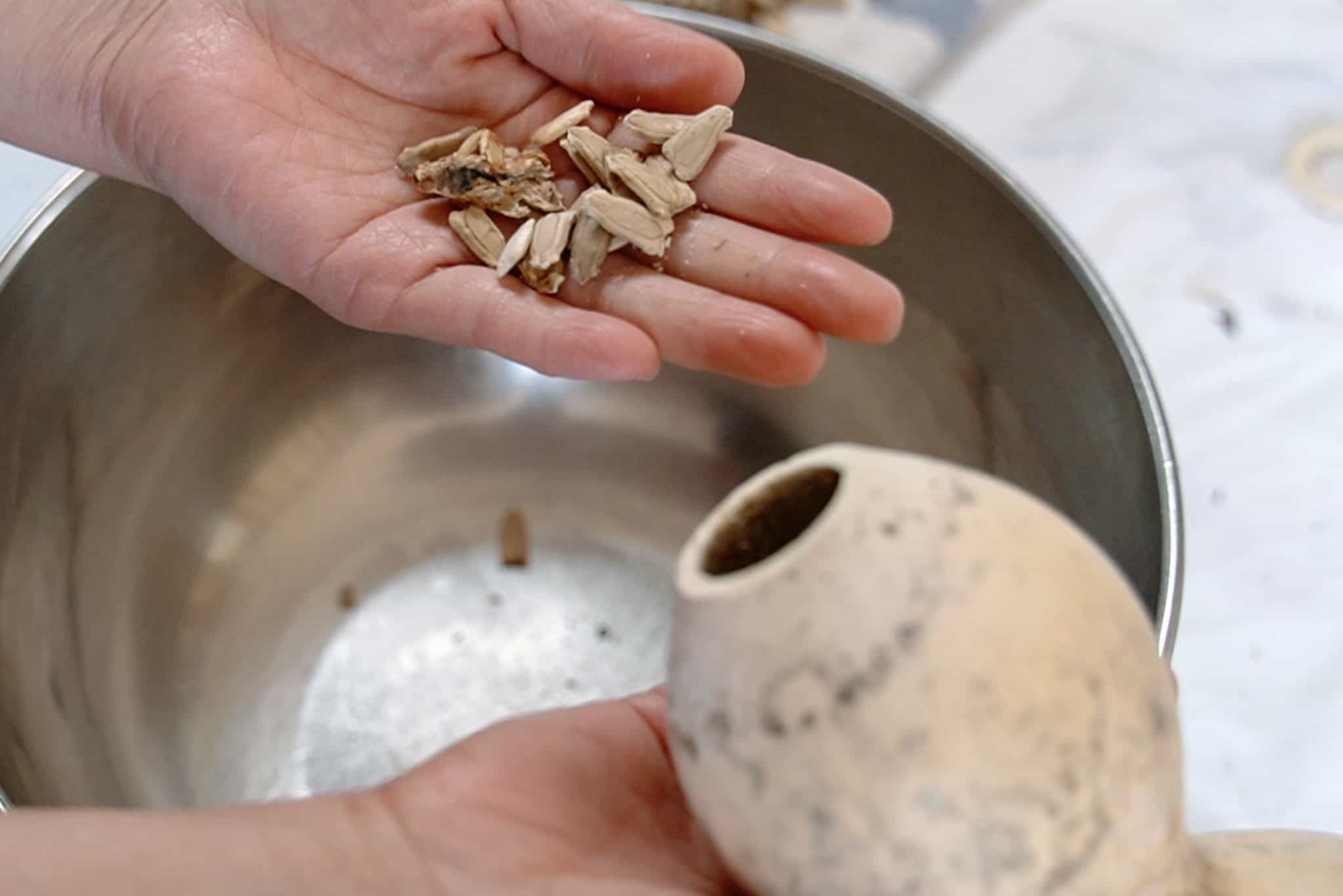 How to Make a Bottle Gourd Water Bottle Emmymade