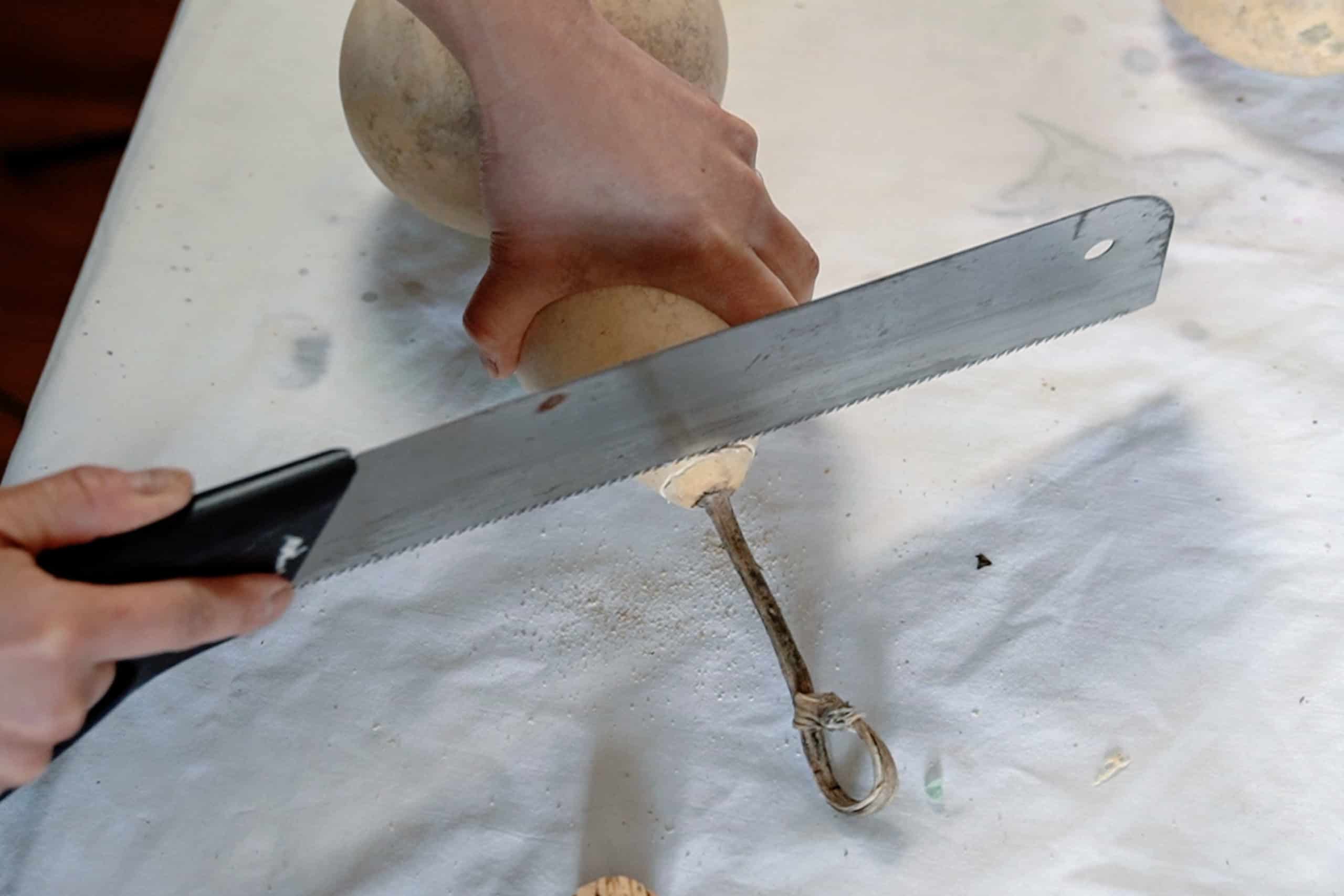 Sawing the top off a dried bottle gourd. 