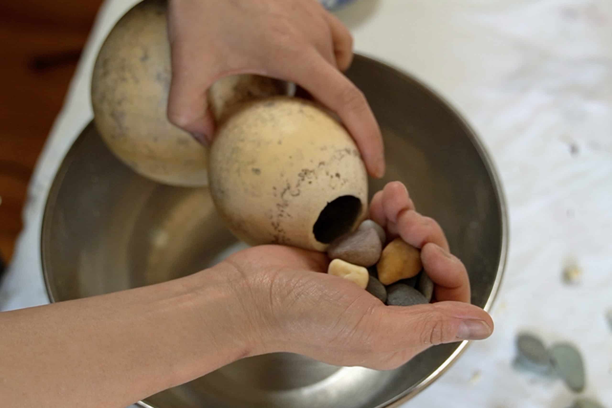 Placing stones inside of a dried bottle gourd. 
