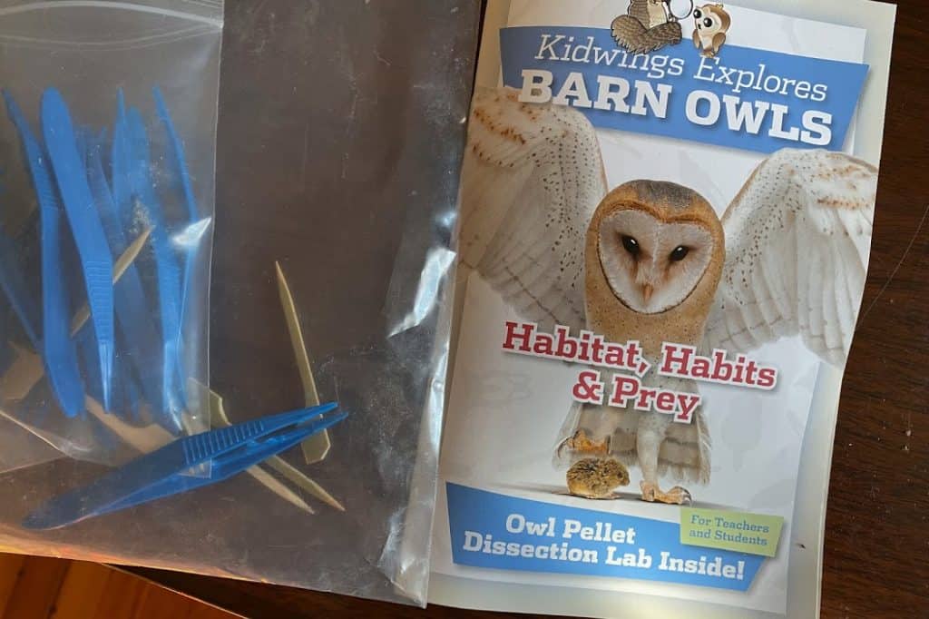 See-through plastic bag with booklet called "Kidwings Explores Barn Owls," several blue plastic tweezers, and a few wooden picks. 