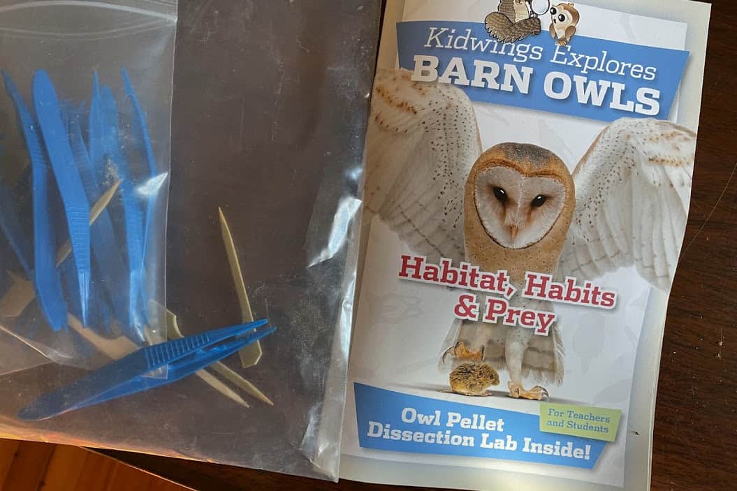 Owl Pellet Kits